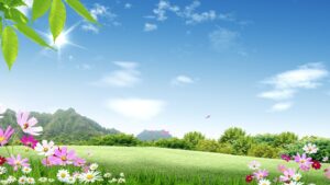 Illustration of a bright and colorful field