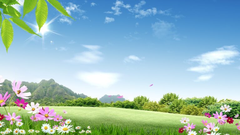 Illustration of a bright and colorful field